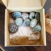 Set-Of-Hand-painted-Stones-With-Various-Adorable-Patterns