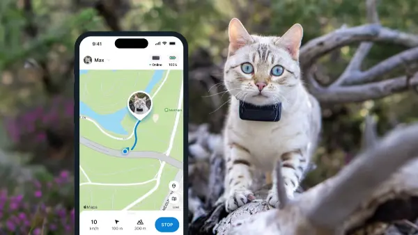 Intelligentes GPS-Katzenhalsband – Haustier-Tracker1