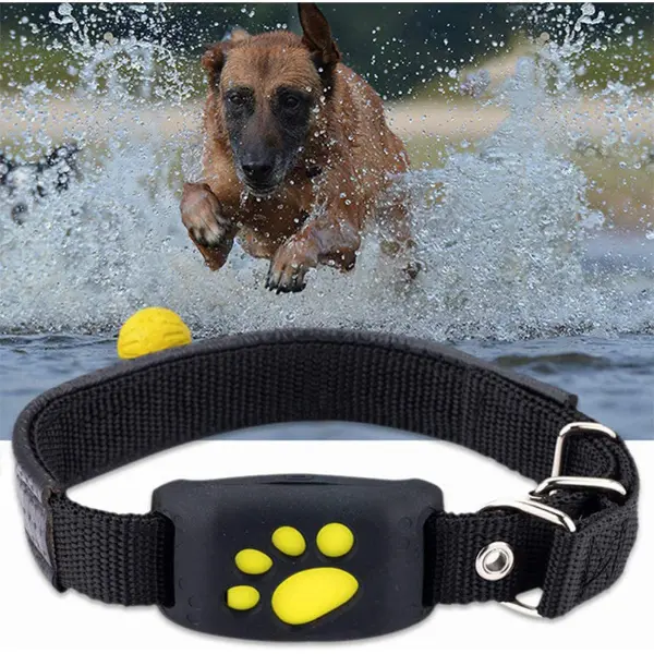 Intelligentes GPS-Katzenhalsband – Haustier-Tracker3