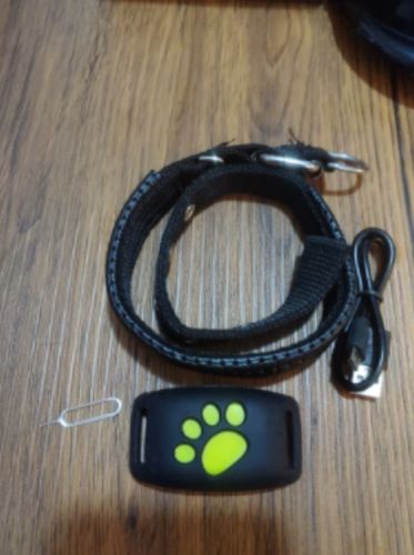 Intelligentes GPS-Katzenhalsband – Haustier-Tracker photo review